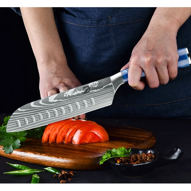 DFITO 9-Piece Kitchen Knife Set, Stainless Steel Professional Cutlery Knife with Knife Sheaths, Ultra Sharp Kitchen Knives with Knife Storage Bag, Blue